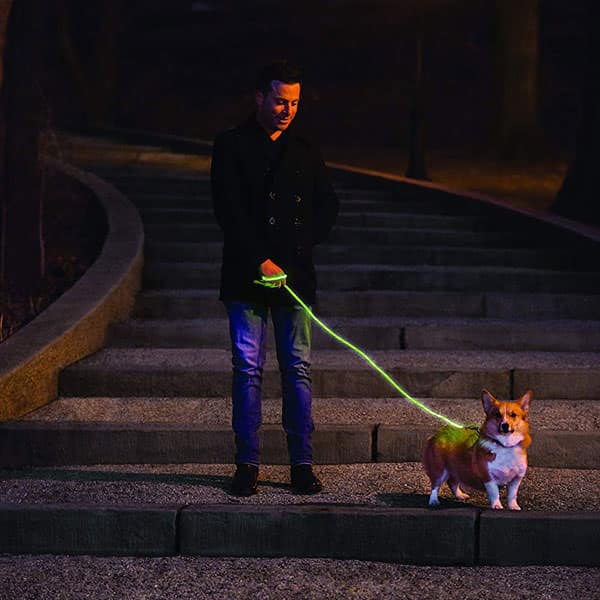 Dark LED Dog Leash Suckstobebroke