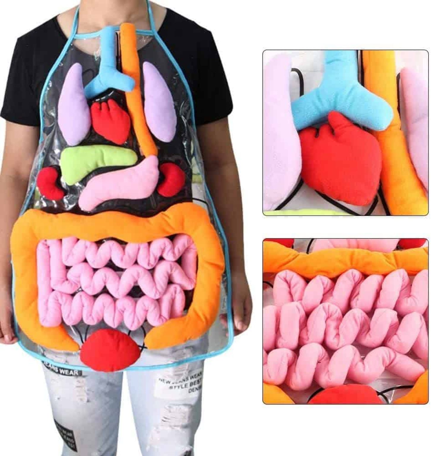 internal organ plushies