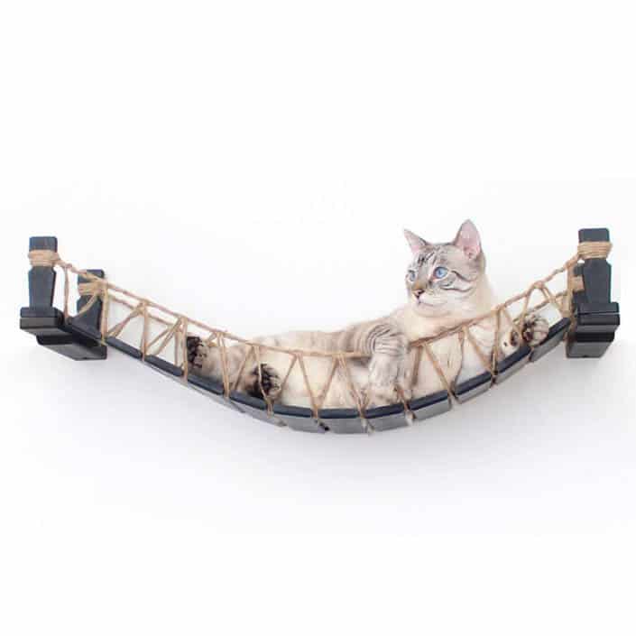 Hanging Cat Bridge