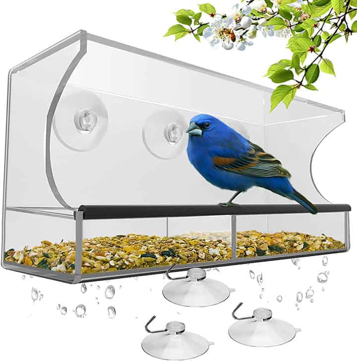 Transparent window bird feeder