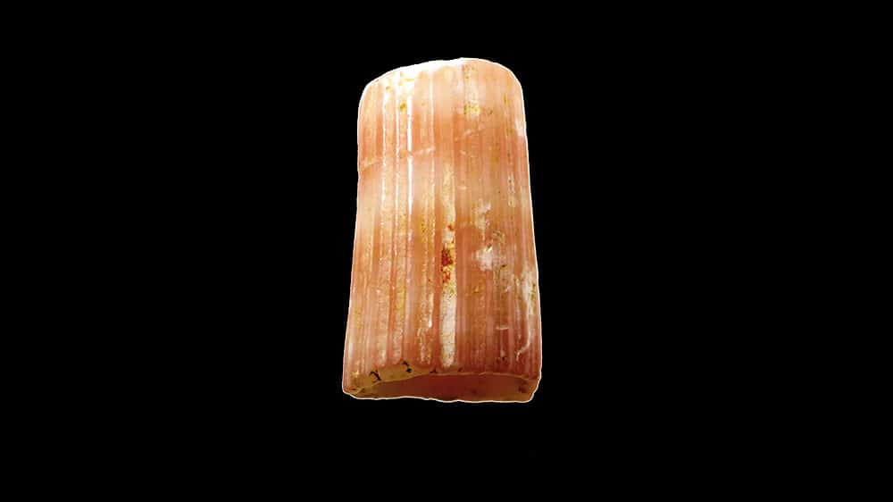 This 23,000 year old bead is the world's oldest known jewelery