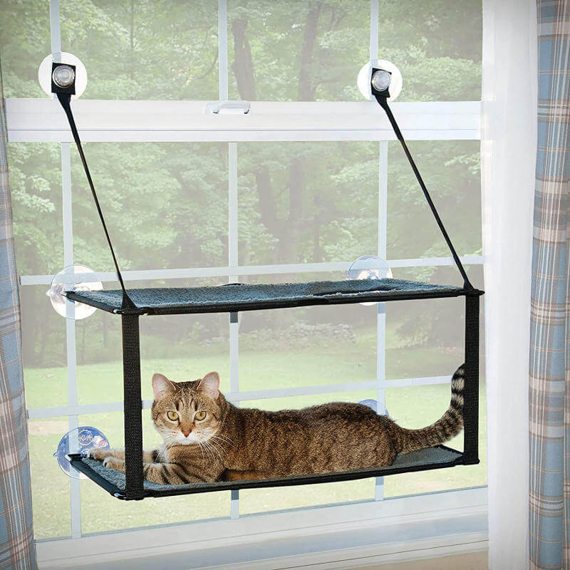 Window mount cat perch.jpg