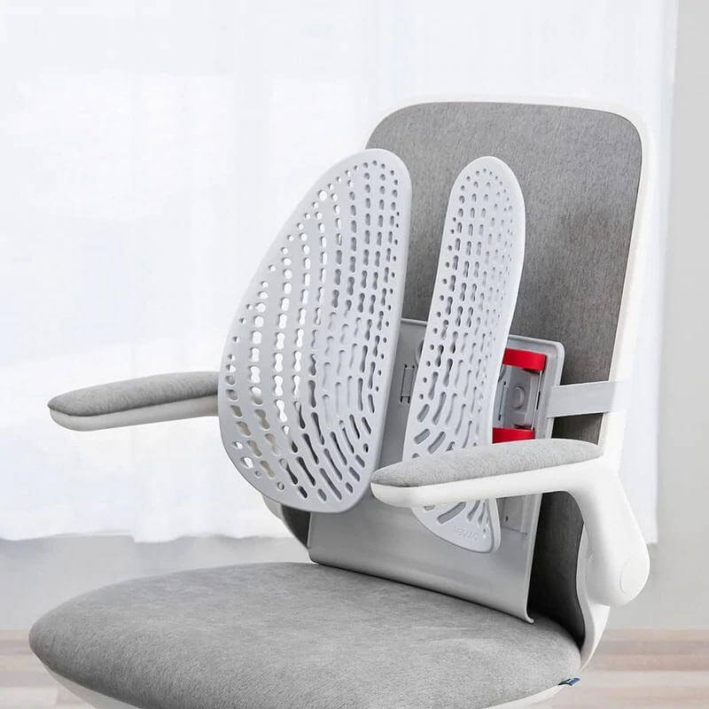 Leband lumbar back support for office chair.jpg