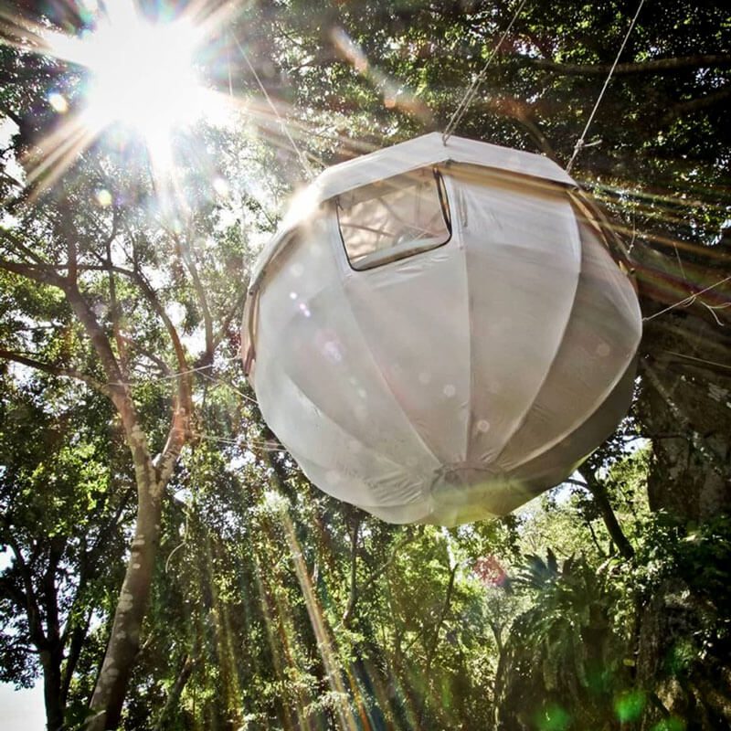 Luxury Treehouse Dome