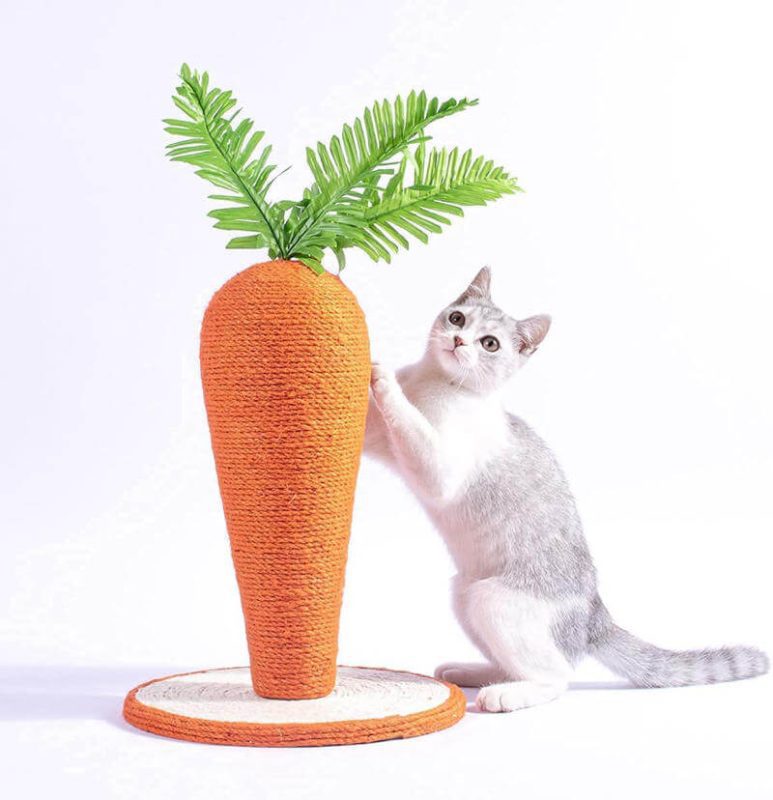 Carrot cat scratching post.jpg