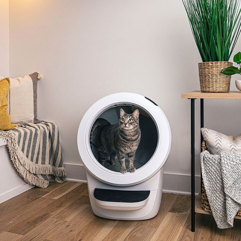 Litter robot 4