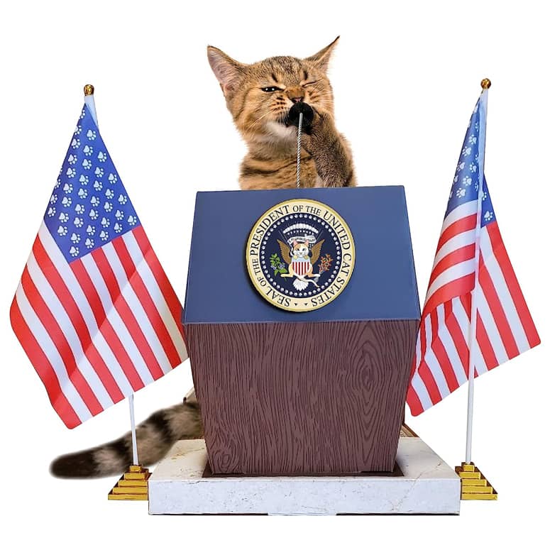 Presidential podium cat scratcher xl